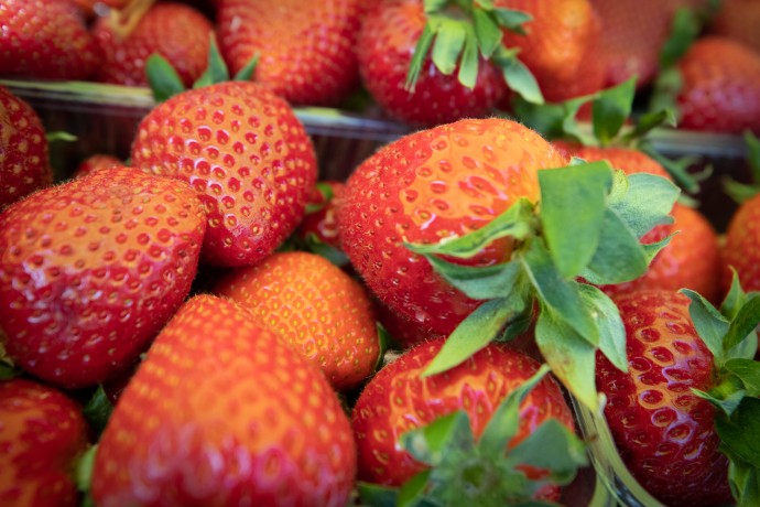 Food fairs in Kyiv: schedule and safety