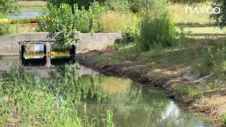 Забруднення Кирилівського озера ліквідовують біологічними очисниками: обробили струмок і ґрунт
